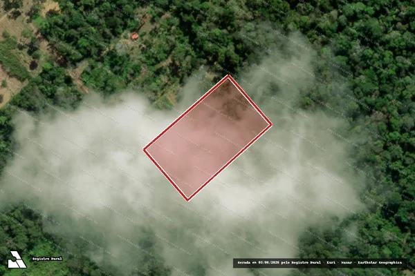 Imagem de satélite — Embargo IBAMA — Infração da Flora - Linhares/ES