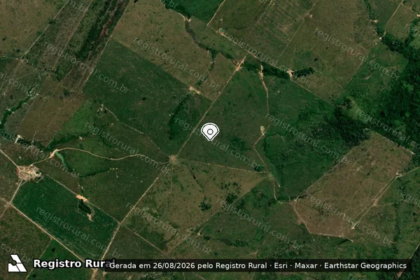 Imagem de satélite de Infração Ambiental em Porto Velho - RO (marcador da localização)