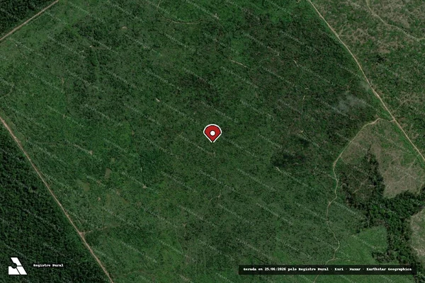 Imagem de satélite — Embargo IBAMA — Infração da Flora — Ipixuna do Pará/PA