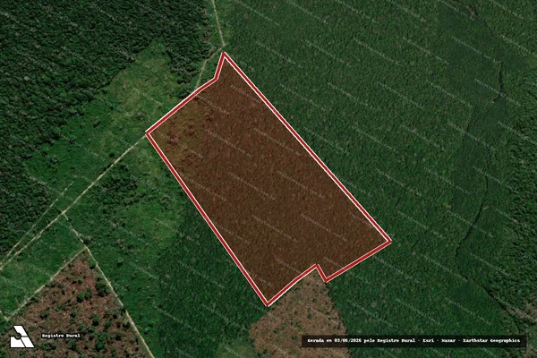 Imagem de satélite — Embargo IBAMA — Infração da Flora - Apuí/AM