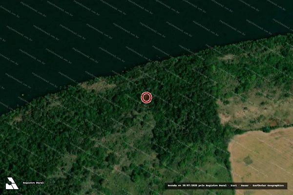 Imagem de satélite de Infração Ambiental em Realeza - PR