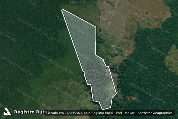 Imagem de satélite — Embargo IBAMA — Infração Ambiental - Lábrea/AM
