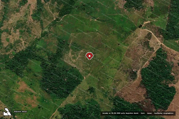 Imagem de satélite de Infração Ambiental em Boca do Acre - AM (marcador da localização)