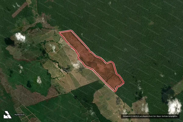 Imagem de satélite de Infração Ambiental em Manicoré - AM