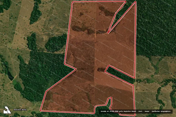 Imagem de satélite de Infração da Flora em Campo Novo de Rondônia - RO