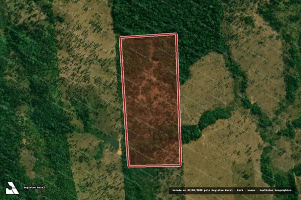 Imagem de satélite — Embargo IBAMA — Infração da Flora - Buritis/RO