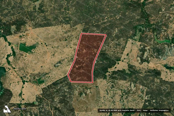 Imagem de satélite de Infração da Flora em Cajazeirinhas - PB