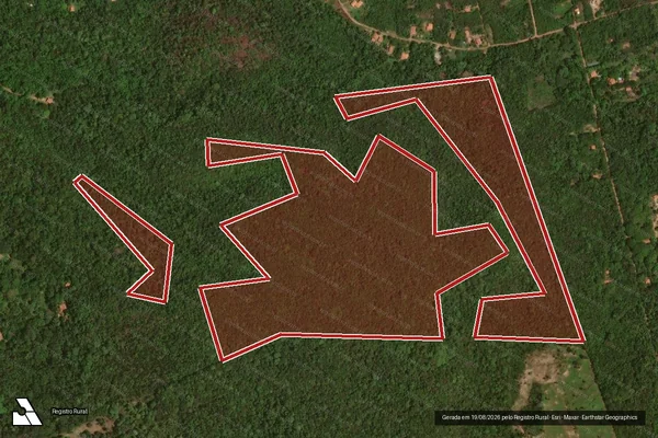Imagem de satélite de Infração da Flora em Teresina - PI