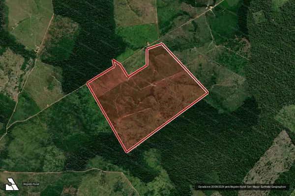 Imagem de satélite de Infração da Flora em Apuí - AM