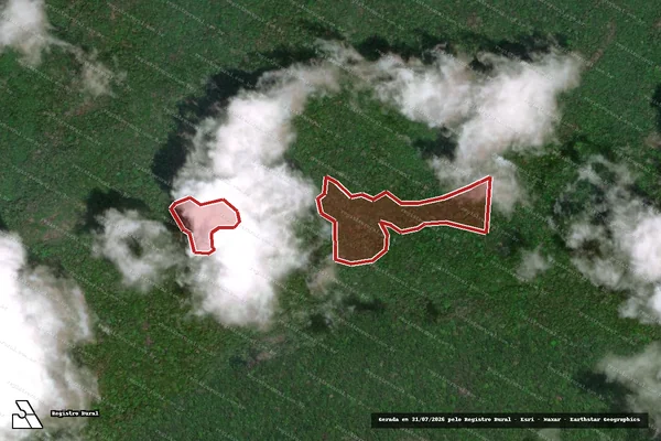 Imagem de satélite de Infração da Flora em Caracaraí - RR