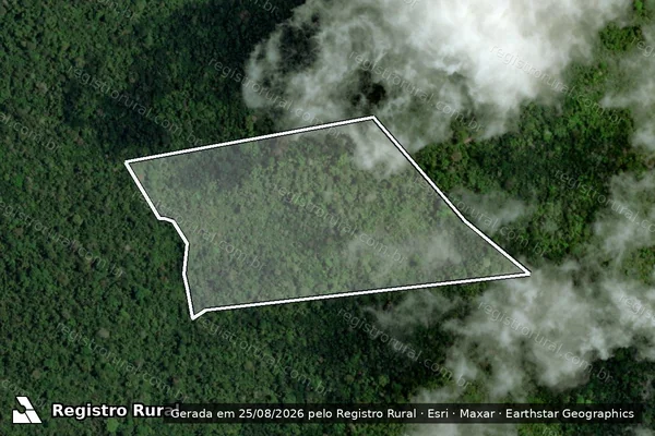 Imagem de satélite de Infração da Flora em Senador José Porfírio - PA