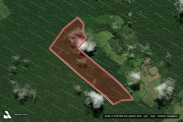 Imagem de satélite de Infração da Flora em Portel - PA