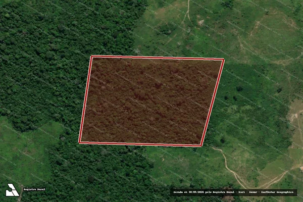 Imagem de satélite de Infração da Flora em Anapu - PA