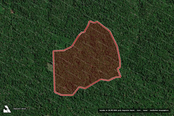 Imagem de satélite de Infração Ambiental em Portel - PA
