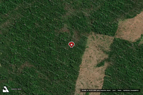 Imagem de satélite de Infração Ambiental em São Félix do Xingu - PA (marcador da localização)