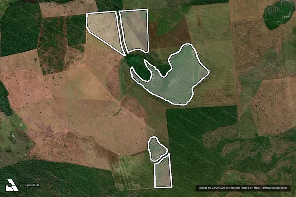 Imagem de satélite de Infração da Flora em Pium - TO