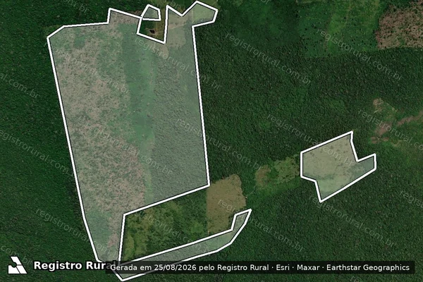 Imagem de satélite de Infração da Flora em Apuí - AM
