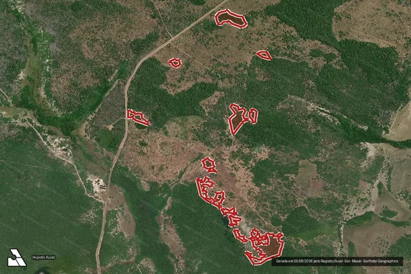 Imagem de satélite de Infração da Flora em Santarém - PA
