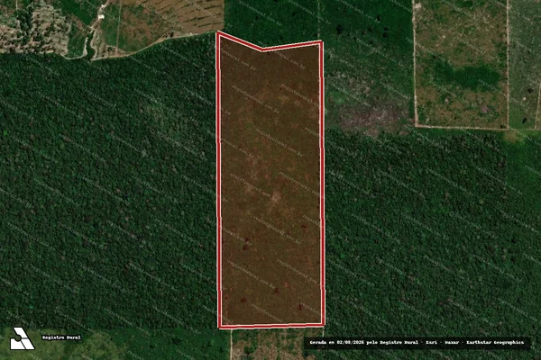 Imagem de satélite de Infração da Flora em Porto Velho - RO