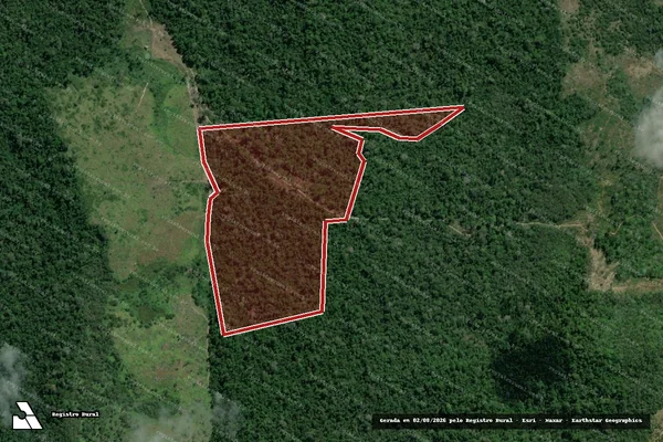 Imagem de satélite de Infração da Flora em Pacajá - PA