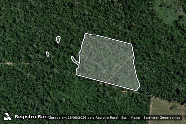 Imagem de satélite de Infração Ambiental em São Félix do Xingu - PA