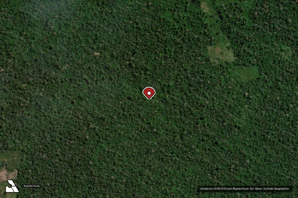 Imagem de satélite de Infração Ambiental em Uruará - PA (marcador da localização)