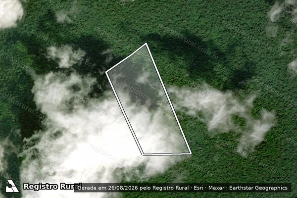 Imagem de satélite de Infração da Flora em Portel - PA