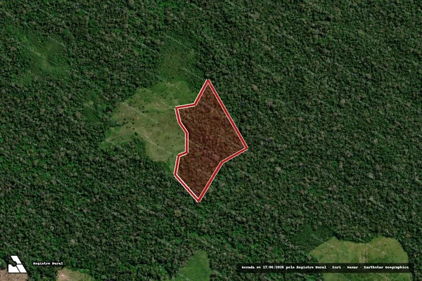 Imagem de satélite de Infração da Flora em Feijó - AC