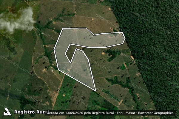Imagem de satélite de Infração da Flora em Boca do Acre - AM