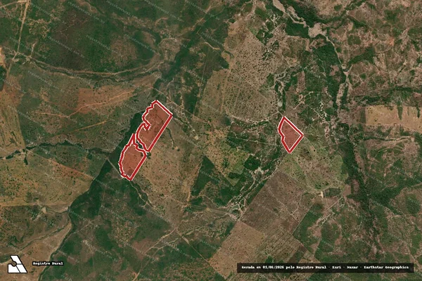 Imagem de satélite — Embargo IBAMA — Infração da Flora — Paranã/TO