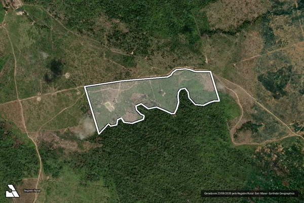 Imagem de satélite de Infração da Flora em Novo Progresso - PA