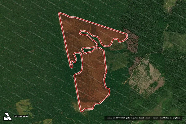 Imagem de satélite de Infração Ambiental em Apuí - AM
