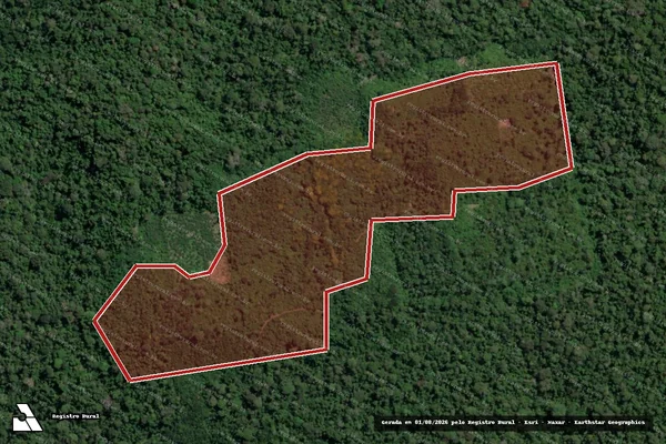 Imagem de satélite de Infração Ambiental em Placas - PA