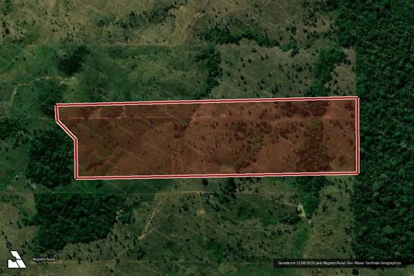 Imagem de satélite de Infração da Flora em Machadinho D'Oeste - RO