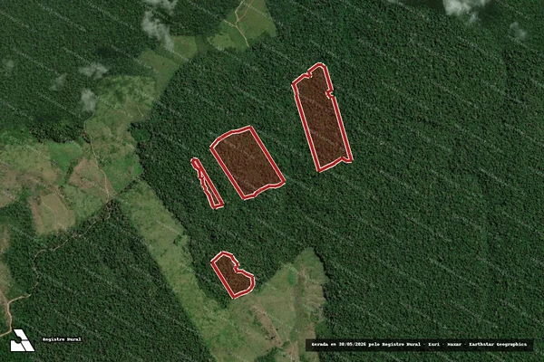 Imagem de satélite de Infração da Flora em Anapu - PA