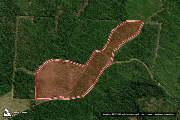 Imagem de satélite de Infração da Flora em Altamira - PA