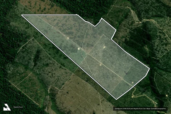 Imagem de satélite — Embargo IBAMA — Infração da Flora - Portel/PA
