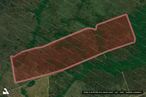 Imagem de satélite de Infração da Flora em Novo Progresso - PA
