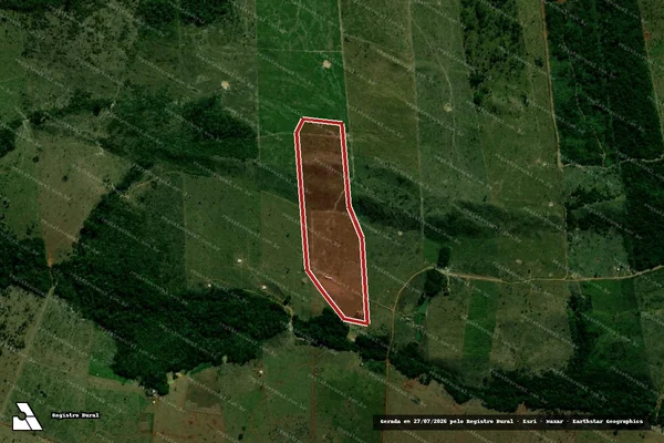 Imagem de satélite de Infração da Flora em Juína - MT