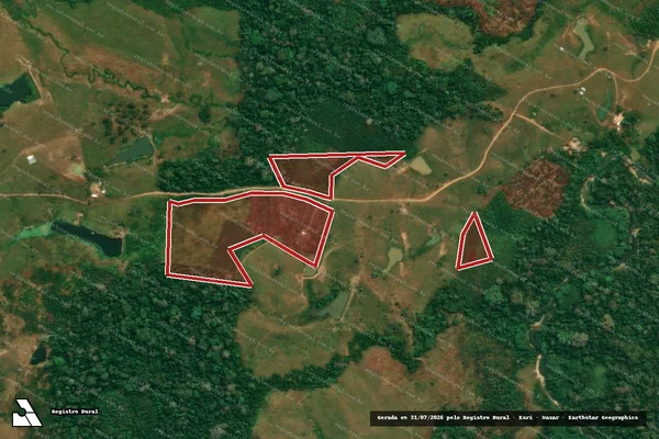 Imagem de satélite de Infração da Flora em Feijó - AC