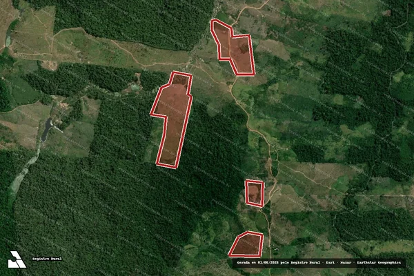 Imagem de satélite de Infração da Flora em Pacajá - PA