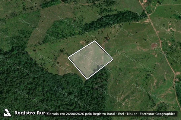 Imagem de satélite — Embargo IBAMA — Infração da Flora - Alenquer/PA