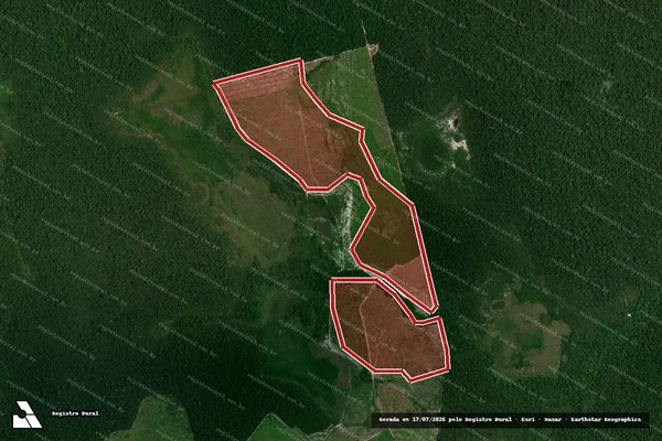 Imagem de satélite — Embargo IBAMA — Infração da Flora - Moju/PA