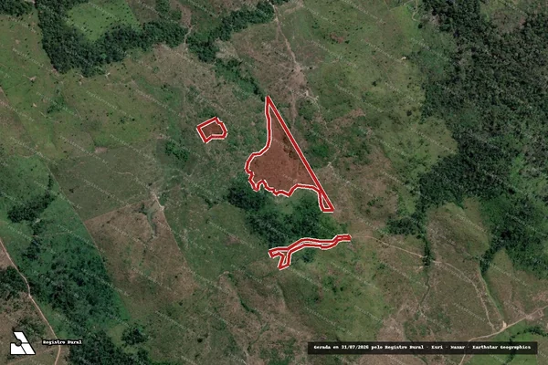 Imagem de satélite de Infração da Flora em Novo Progresso - PA