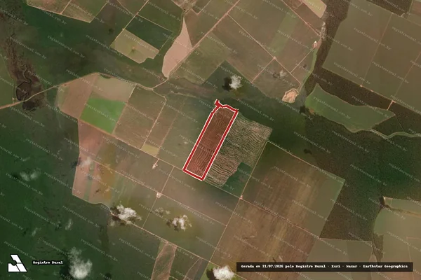 Imagem de satélite de Infração da Flora em Querência - MT