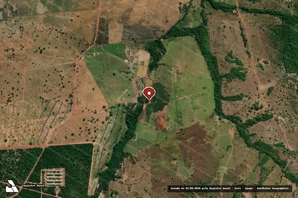 Imagem de satélite de Infração Ambiental em São João do Paraíso - MA (marcador da localização)