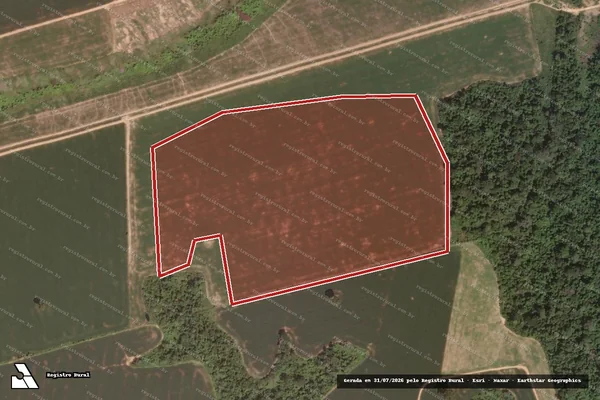 Imagem de satélite de Infração da Flora em Novo Progresso - PA