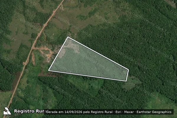 Imagem de satélite — Embargo IBAMA — Infração da Flora - Humaitá/AM