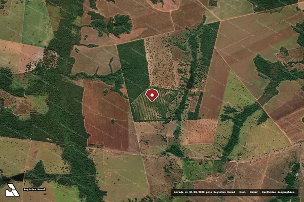 Imagem de satélite — Embargo IBAMA — Infração da Flora - Novo Planalto/GO