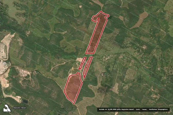 Imagem de satélite de Infração da Flora em Maceió - AL